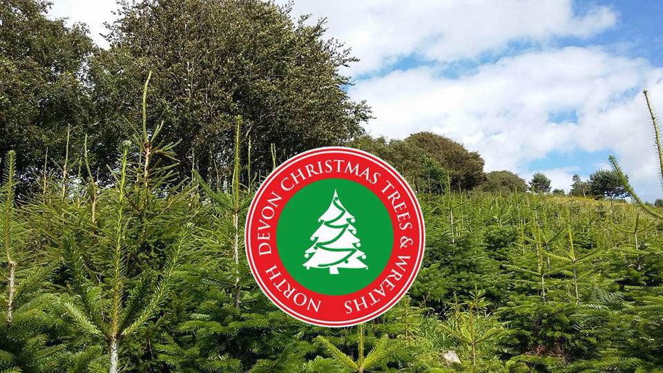 Christmas Trees and Wreaths